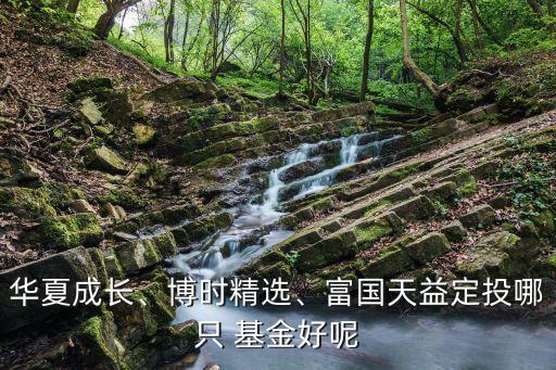 華夏成長(zhǎng)、博時(shí)精選、富國(guó)天益定投哪只 基金好呢