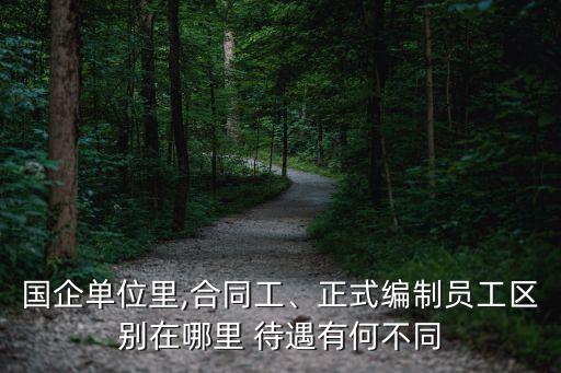 國企單位里,合同工、正式編制員工區(qū)別在哪里 待遇有何不同
