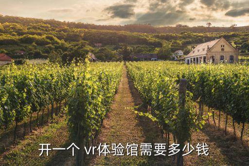 開(kāi)一個(gè) vr體驗(yàn)館需要多少錢(qián)