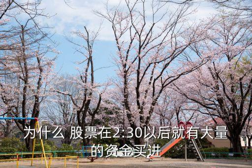 為什么 股票在2:30以后就有大量的資金買(mǎi)進(jìn)