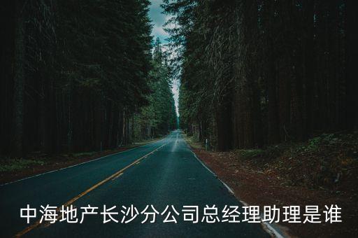  中海地產長沙分公司總經理助理是誰
