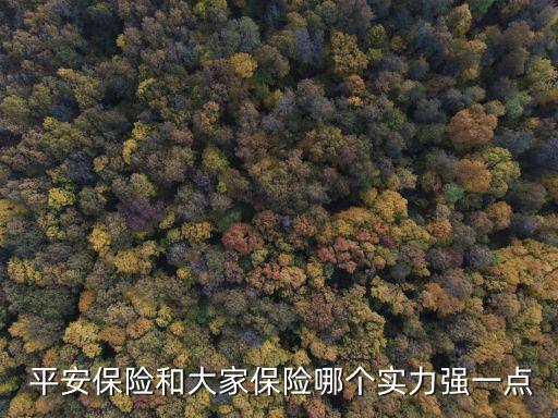 平安保險和大家保險哪個實(shí)力強(qiáng)一點(diǎn)