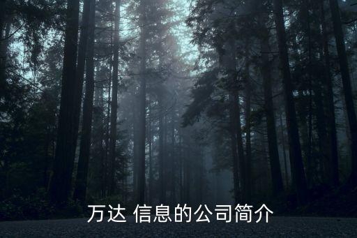  萬達(dá) 信息的公司簡(jiǎn)介