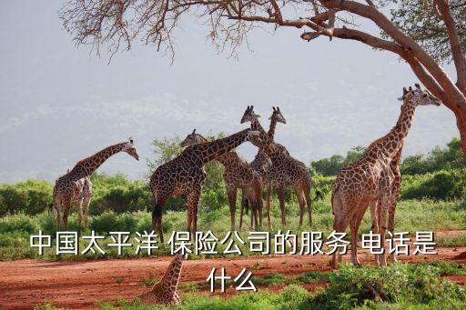 中國太平洋 保險公司的服務 電話是什么