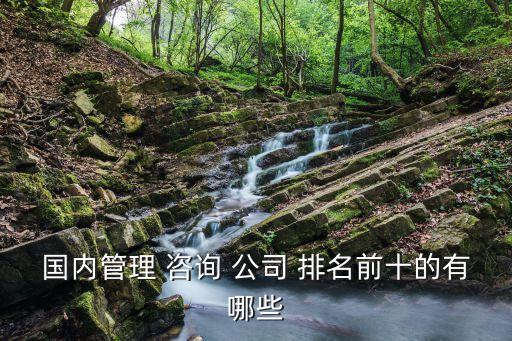 國(guó)內(nèi)管理 咨詢(xún) 公司 排名前十的有哪些