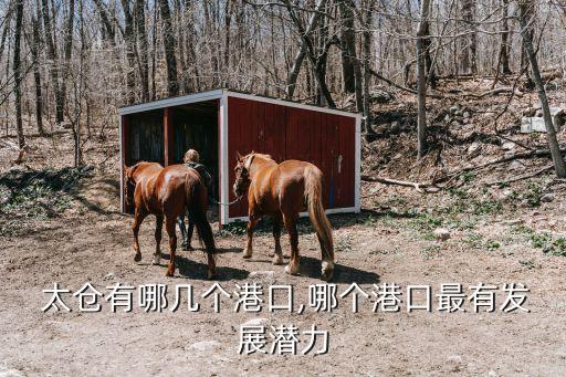  太倉有哪幾個(gè)港口,哪個(gè)港口最有發(fā)展?jié)摿? class=