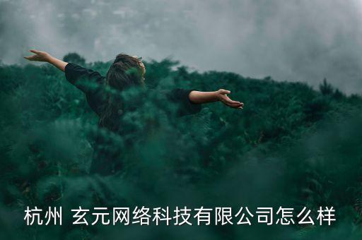 杭州 玄元網(wǎng)絡科技有限公司怎么樣