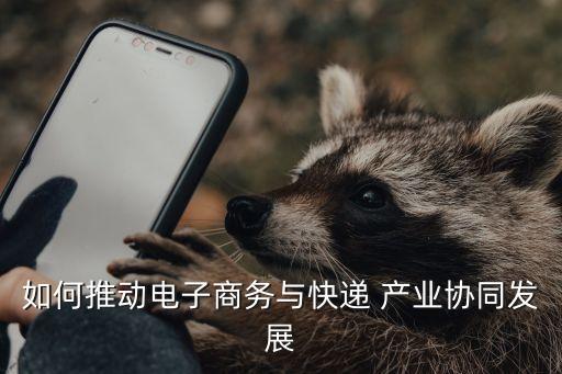 如何推動電子商務(wù)與快遞 產(chǎn)業(yè)協(xié)同發(fā)展