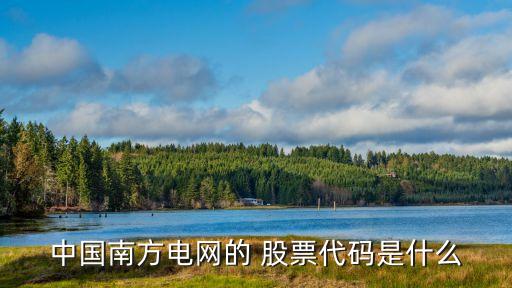 中國南方電網的 股票代碼是什么