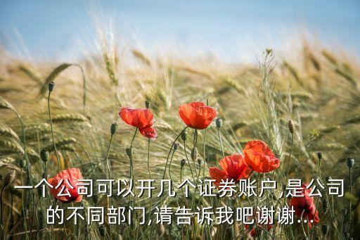 一個(gè)公司可以開(kāi)幾個(gè)證券賬戶,是公司的不同部門(mén),請(qǐng)告訴我吧謝謝...