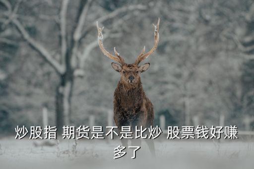 期貨和股票那個(gè)賺錢(qián)又多又快