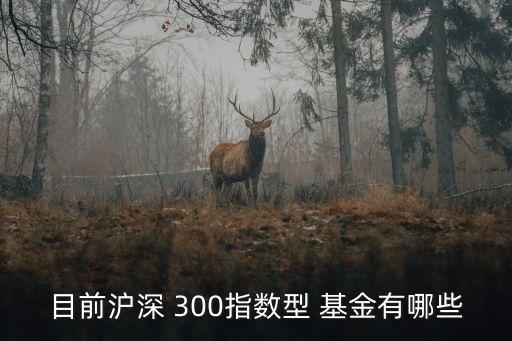 博時(shí)滬深300基金賬號是多少