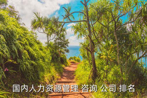 國(guó)內(nèi)人力資源管理 咨詢(xún) 公司 排名