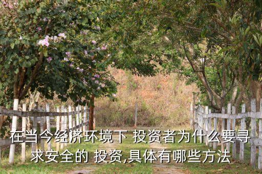 在當今經濟環(huán)境下 投資者為什么要尋求安全的 投資,具體有哪些方法