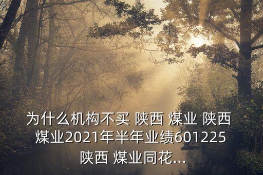為什么機(jī)構(gòu)不買(mǎi) 陜西 煤業(yè) 陜西 煤業(yè)2021年半年業(yè)績(jī)601225 陜西 煤業(yè)同花...