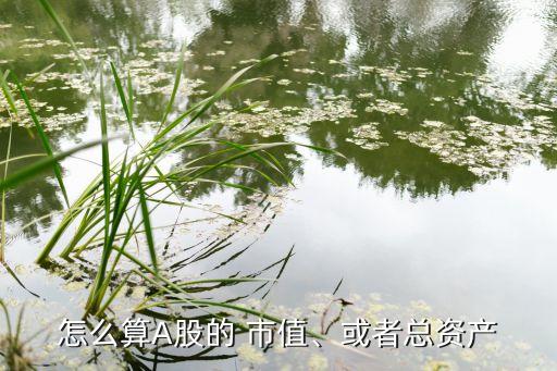 怎么算A股的 市值、或者總資產(chǎn)