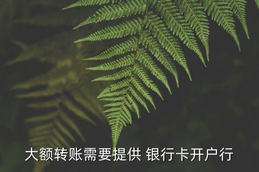 大額轉賬需要提供 銀行卡開戶行