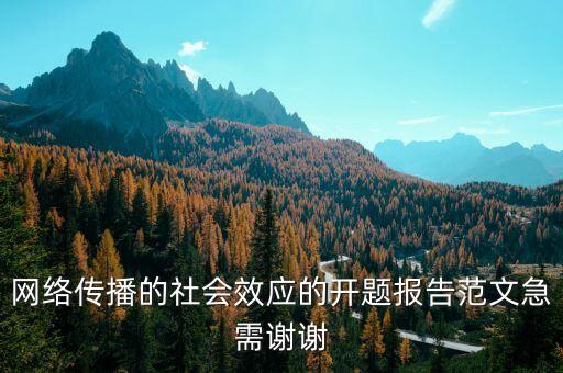 網絡傳播的社會效應的開題報告范文急需謝謝