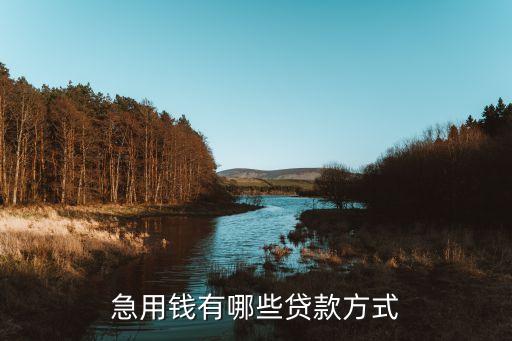 急用錢(qián)有哪些貸款方式