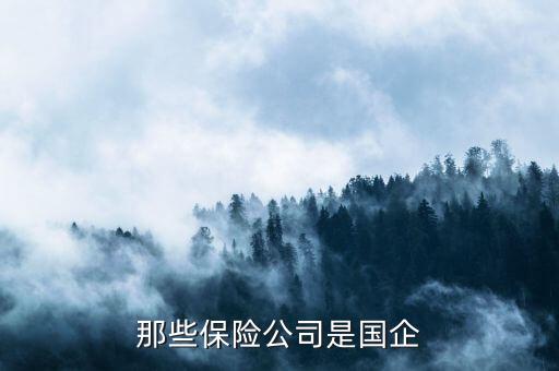那些保險(xiǎn)公司是國企