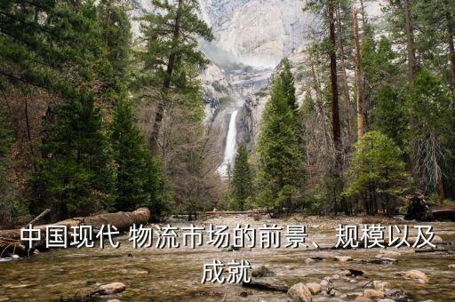 中國現代 物流市場的前景、規(guī)模以及成就