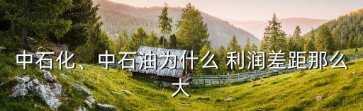 中石化、中石油為什么 利潤(rùn)差距那么大