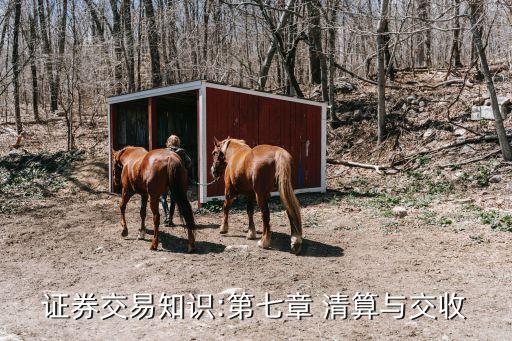 證券交易知識:第七章 清算與交收