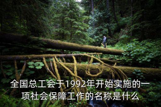 全國(guó)總工會(huì)于1992年開始實(shí)施的一項(xiàng)社會(huì)保障工作的名稱是什么