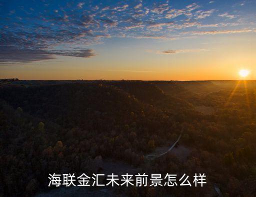 海立美達電機有限公司,湖北海立美達汽車有限公司是國企嗎