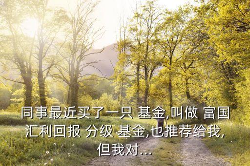 同事最近買了一只 基金,叫做 富國匯利回報(bào) 分級(jí) 基金,也推薦給我,但我對(duì)...