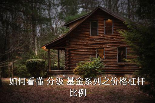 如何看懂 分級 基金系列之價(jià)格杠桿比例