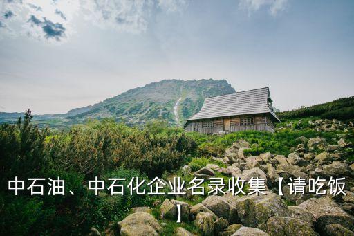 中石油、中石化企業(yè)名錄收集【請吃飯】