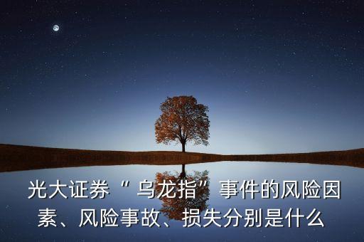  光大證券“ 烏龍指”事件的風(fēng)險(xiǎn)因素、風(fēng)險(xiǎn)事故、損失分別是什么