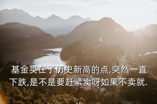 基金低賣高出好嗎,基金是不是應該低買高賣