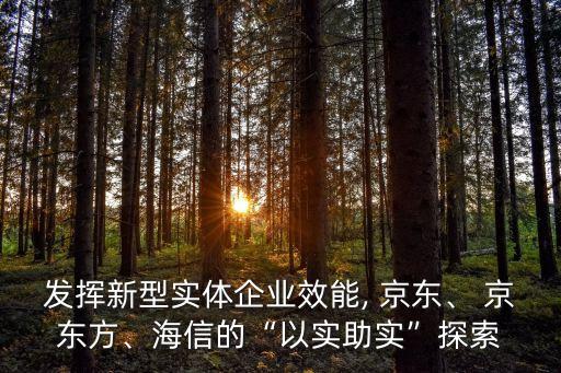 發(fā)揮新型實(shí)體企業(yè)效能, 京東、 京東方、海信的“以實(shí)助實(shí)”探索