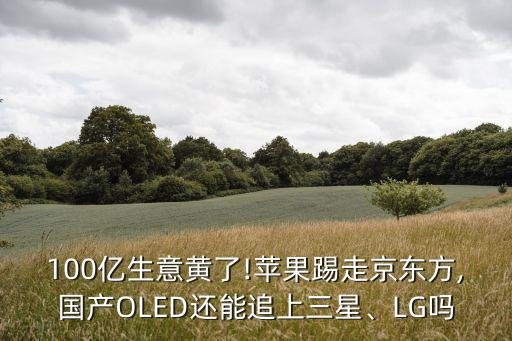 100億生意黃了!蘋果踢走京東方,國(guó)產(chǎn)OLED還能追上三星、LG嗎