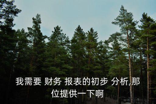 我需要 財(cái)務(wù) 報表的初步 分析,那位提供一下啊