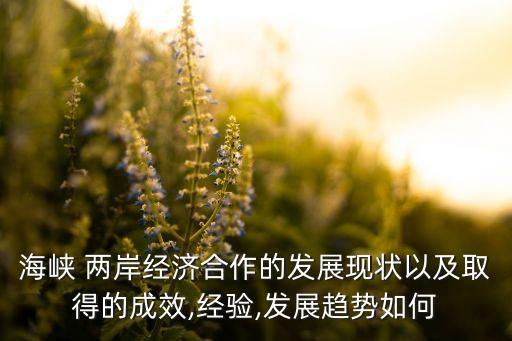 海峽 兩岸經濟合作的發(fā)展現(xiàn)狀以及取得的成效,經驗,發(fā)展趨勢如何