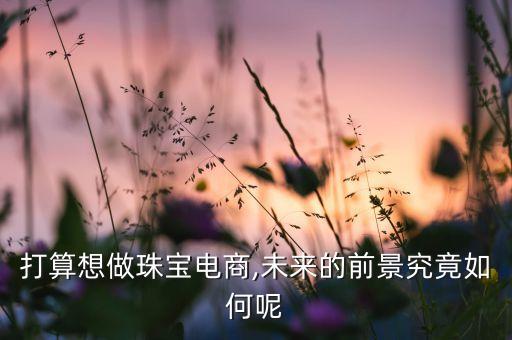 打算想做珠寶電商,未來(lái)的前景究竟如何呢