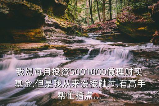 我想每月投資5001000做理財(cái)買 基金.但是我從來(lái)沒(méi)接觸過(guò).有高手幫忙指點(diǎn)...