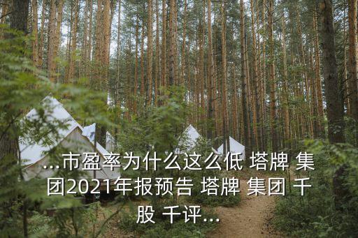 塔牌集團(tuán)千股千評