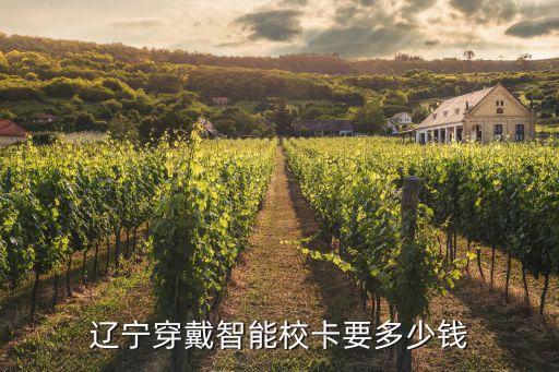 遼寧穿戴智能?？ㄒ嗌馘X