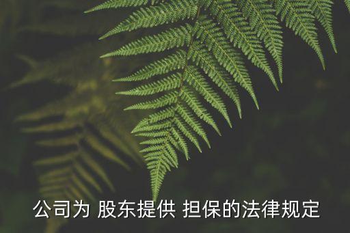 股東對公司擔(dān)保,股東公司擔(dān)保算不算第三方擔(dān)保
