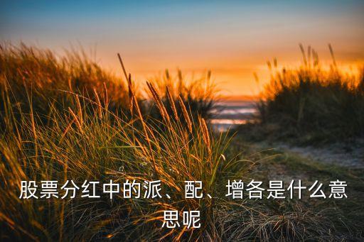  股票分紅中的派、配、增各是什么意思呢