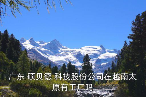 廣東 碩貝德 科技股份公司在越南太原有工廠(chǎng)嗎
