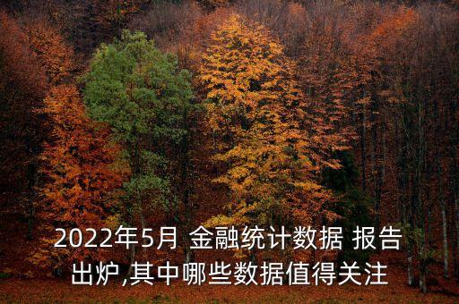2022年5月 金融統(tǒng)計數(shù)據(jù) 報告出爐,其中哪些數(shù)據(jù)值得關注