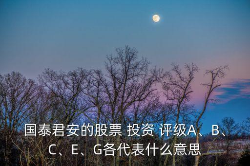 國泰君安的股票 投資 評(píng)級(jí)A、B、C、E、G各代表什么意思