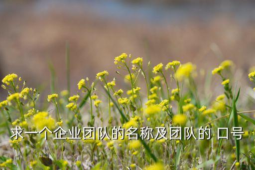 求一個企業(yè)團隊的名稱及團隊的 口號、