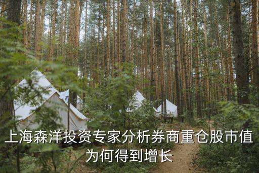 上海森洋投資專家分析券商重倉(cāng)股市值為何得到增長(zhǎng)