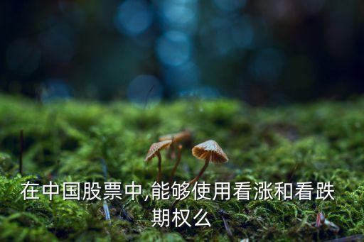 中國有個股期權嗎,個股期權有哪些股票